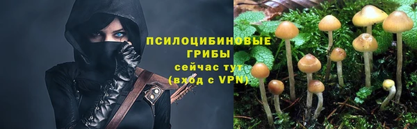 соль курить ск Аркадак