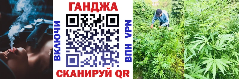 mega зеркало  Калач-на-Дону  МАРИХУАНА SATIVA & INDICA  что такое  